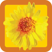 Happy Habits: Choose Happiness 2.2.1 Icon