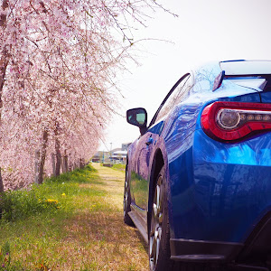 BRZ ZC6