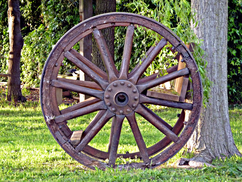 L'ultima ruota del carro di FransuaR