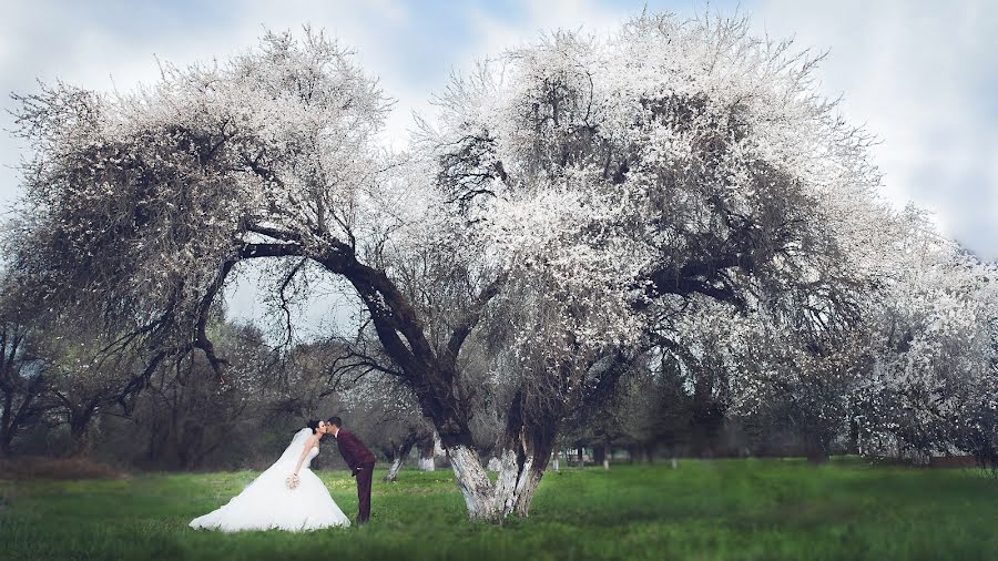 Bryllupsfotograf Eduard Chechenov (ecech). Bilde av 4 juni 2015