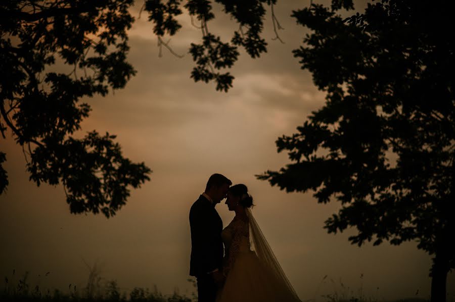 Fotógrafo de casamento Csibi Gellért (csibigellert). Foto de 27 de julho 2017