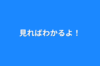 見ればわかるよ！