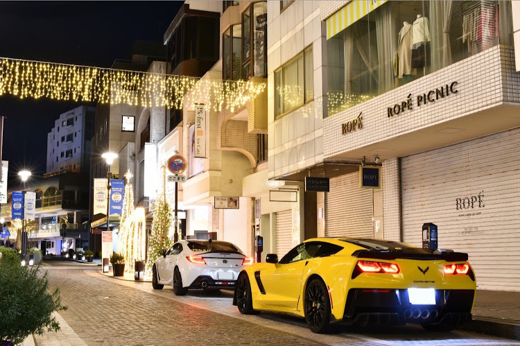 コルベット クーペのEndangered species・GR86・密会・元町商店街に関するカスタム事例の投稿画像2枚目