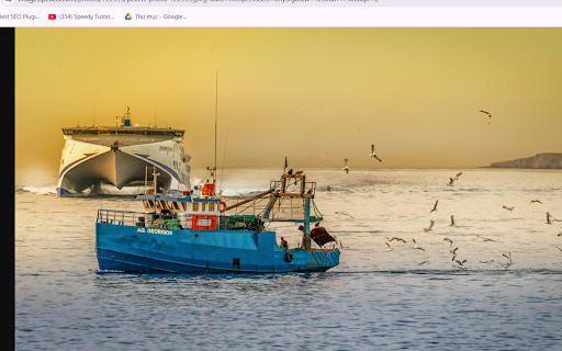 Evening Voyage Preview 1