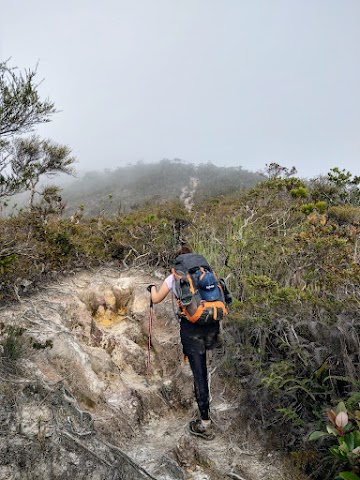 Mount Tahan Climbing