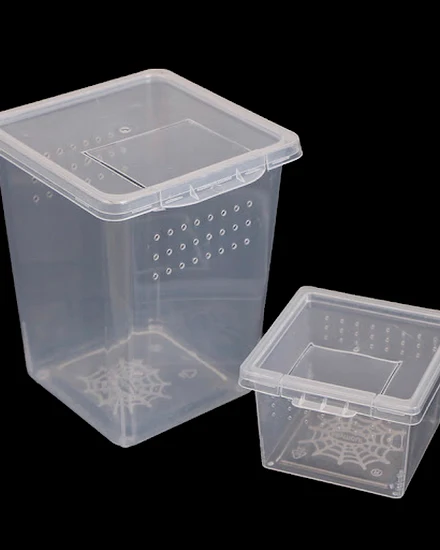 1pcs Plastic Feeding Acrylic Box Insect Spider Habitat Fe... - 2
