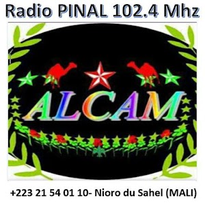 Download Radio PINAL FM- Nioro du Sahel For PC Windows and Mac