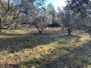 terrain à Bagnols-en-Forêt (83)