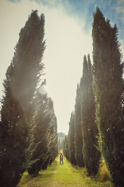 Fotógrafo de casamento Aleksandr Vasilev (avasilev). Foto de 8 de janeiro 2015