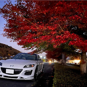 RX-8 SE3P