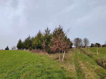 terrain à Saint-Mathieu (87)