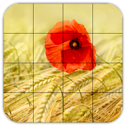 Tile Puzzles · Fields 1.40.fi Icon