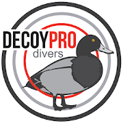 Diver Duck Decoy Spreads