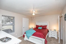 Furnished bedroom featuring window, ceiling fan, and neutral colored carpet and walls