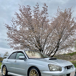 インプレッサ WRX GDA