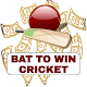 Download Bat To Win Cricket 2019 For PC Windows and Mac