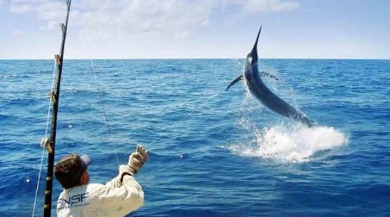 Basic Fishing Techniques(圖3)-速報App