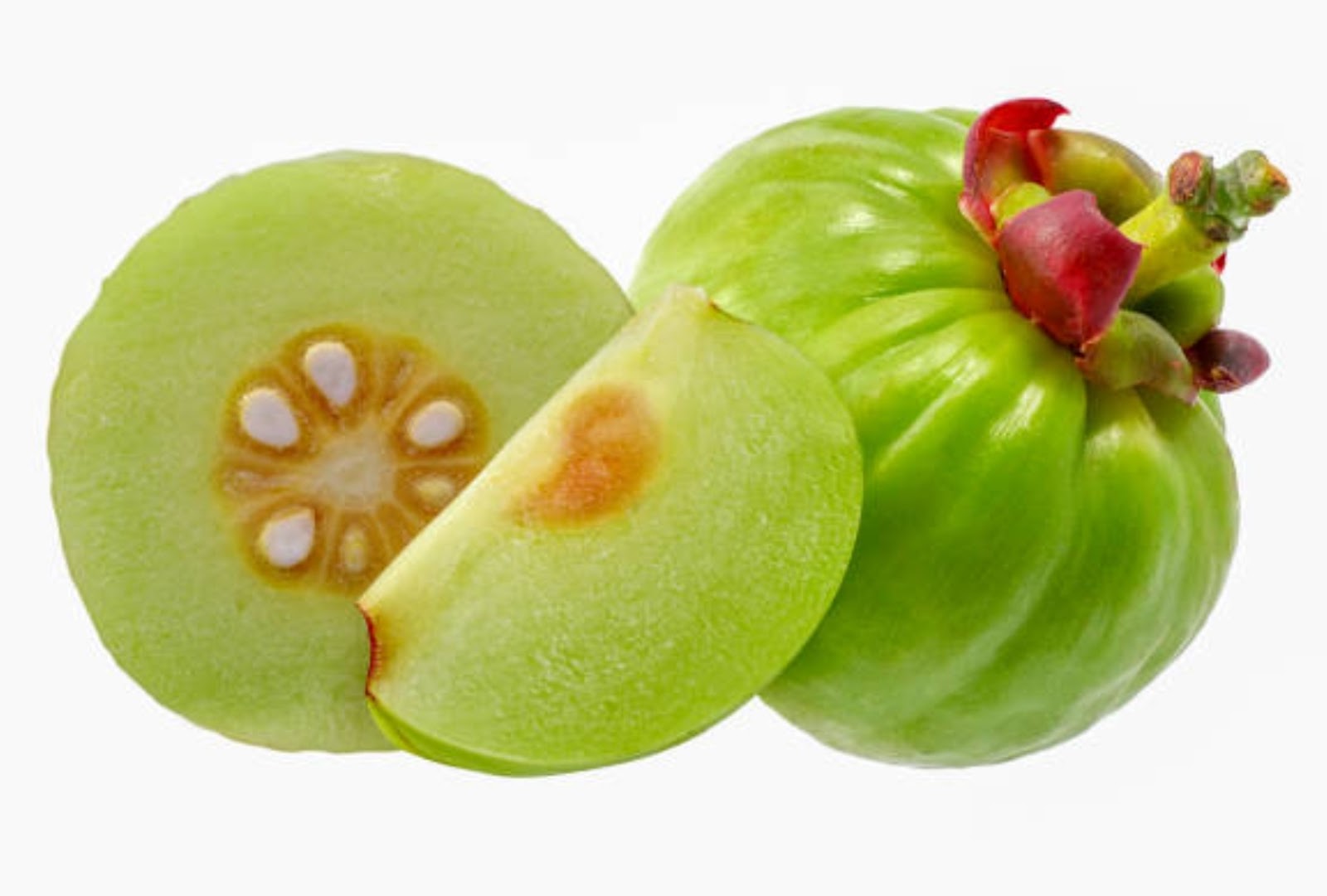  جارسينيا 