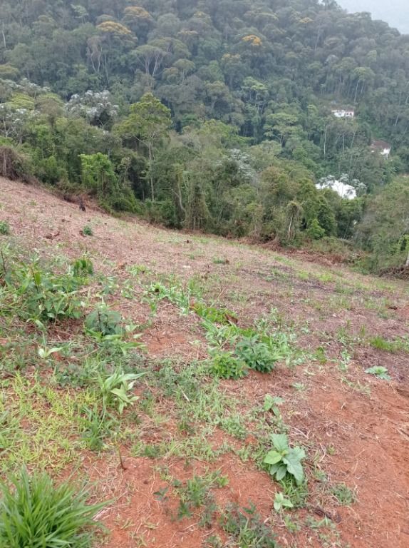 Terreno Residencial à venda em Barra do Imbuí, Teresópolis - RJ - Foto 3