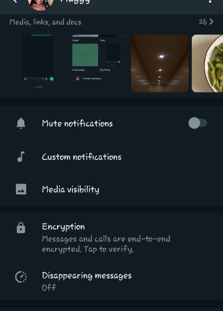 Tap profile then turn on disappearing messages