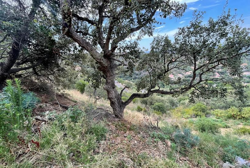  Vente Terrain à bâtir - à Le Boulou (66160) 