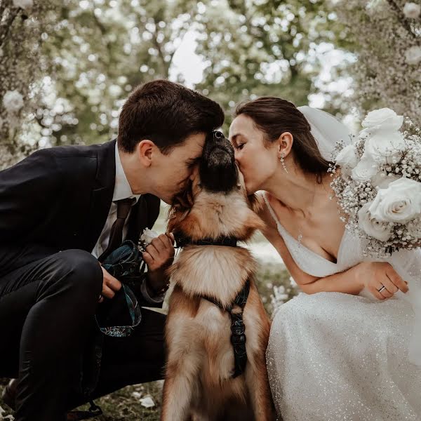 Photographe de mariage Dorota Bieniek-Magiera (dorotabieniek). Photo du 25 septembre 2023