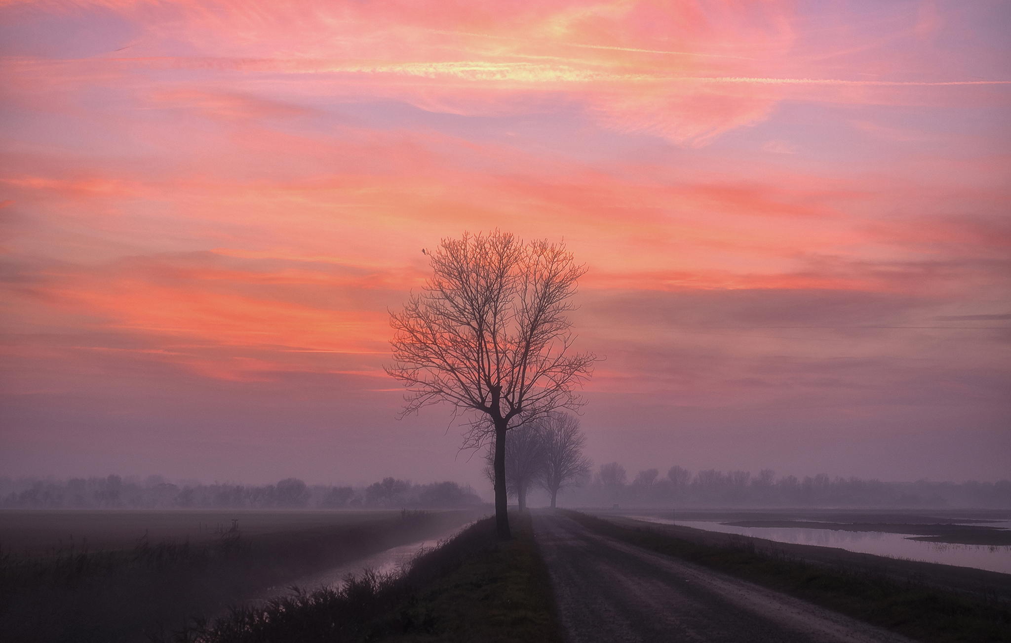 La nebbia e il gelo di alagnol