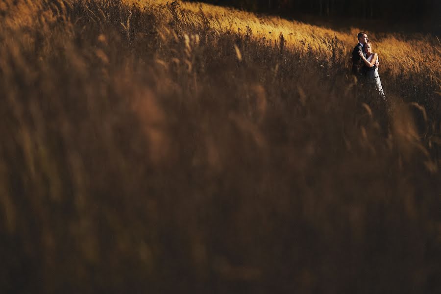 Bryllupsfotograf Krystian Gacek (krystiangacek). Bilde av 6 august 2014