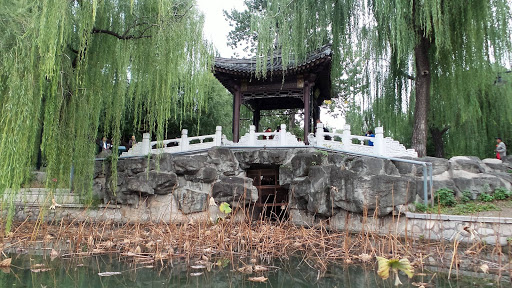 Bamboo Lake Beijing China 2015