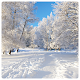 Download Snow Winter Wallpaper For PC Windows and Mac 1.0