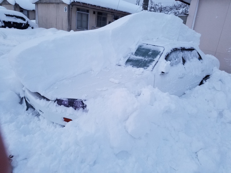 スカイラインのさむいに関するカスタム事例の投稿画像1枚目