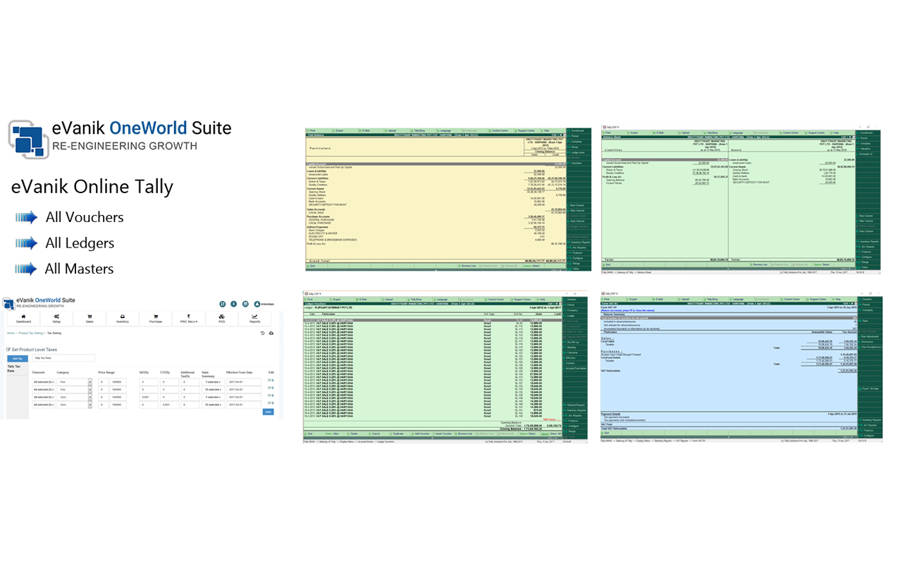 eVanik Online GST Tally Preview image 2