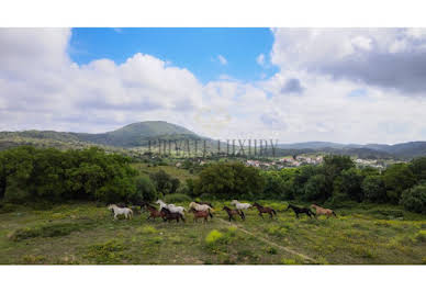 Corps de ferme avec jardin 2