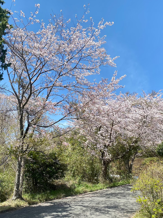 の投稿画像7枚目