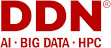 DDN logo