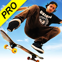 Skateboard Party 3 Pro