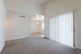 Bright, empty apartment interior with carpeted flooring, white walls, and large sliding door with vertical blinds.