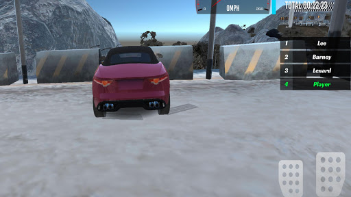 Screenshot Fast racing cars