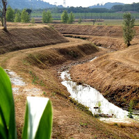 nel rispetto ambientale, la sicurezza di 