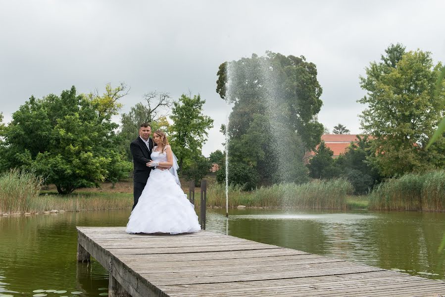 Fotografo di matrimoni Norbert Ludaš (norbertludas). Foto del 8 maggio 2019