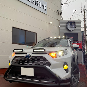 RAV4 MXAA54