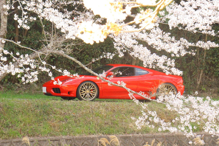 360モデナの桜と愛車・渓流に関するカスタム事例の投稿画像4枚目
