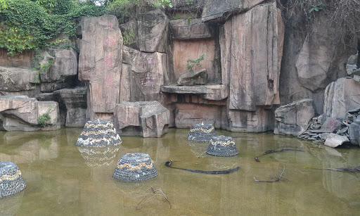 山幽雲霧處