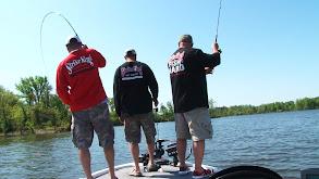 Brush Pile Crappie of Crab Orchard Lake IL thumbnail
