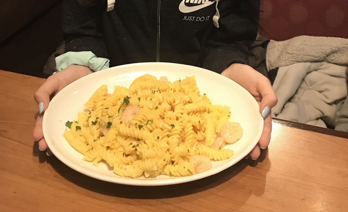 Gluten free pasta with alfredo sauce and shrimp.  My daughter loved it.