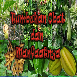 Download Tumbuhan Obat For PC Windows and Mac