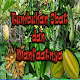 Download Tumbuhan Obat For PC Windows and Mac 1.0