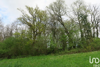 terrain à La Chapelle-Moulière (86)