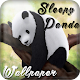 Download Sleepy panda wallpapers For PC Windows and Mac 1.0.2