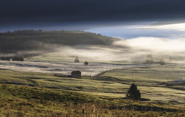 Nebbie D'autunno di MicheleFaggian